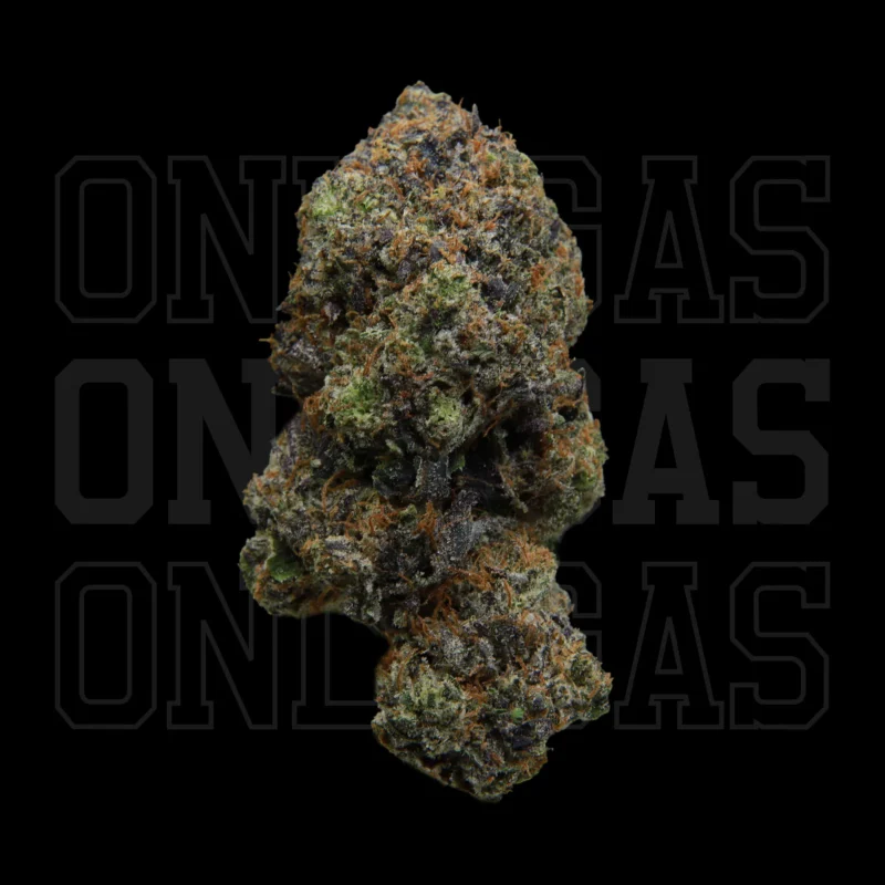 91 Octane — AAA+ — Indica