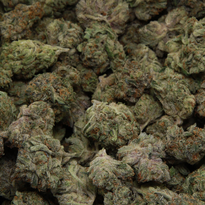 Pink Tuna — AAA — Indica