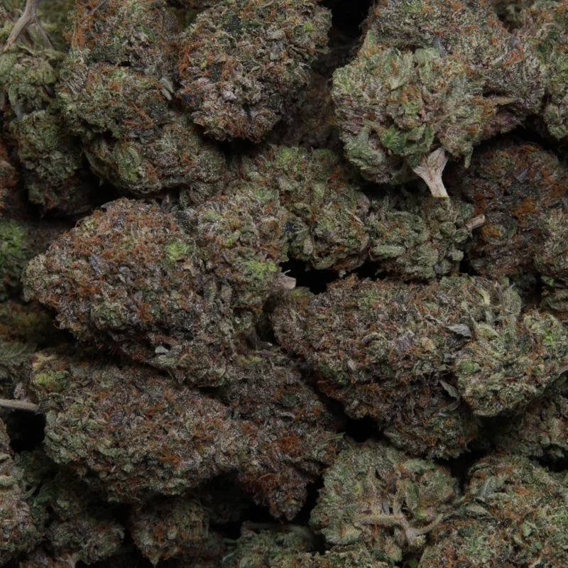 Pink Frozay — AAA+ — Indica