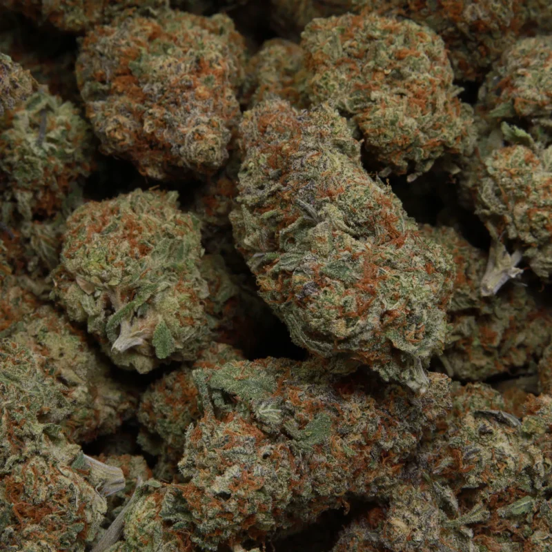 Sugar Pine — AAA— Sativa