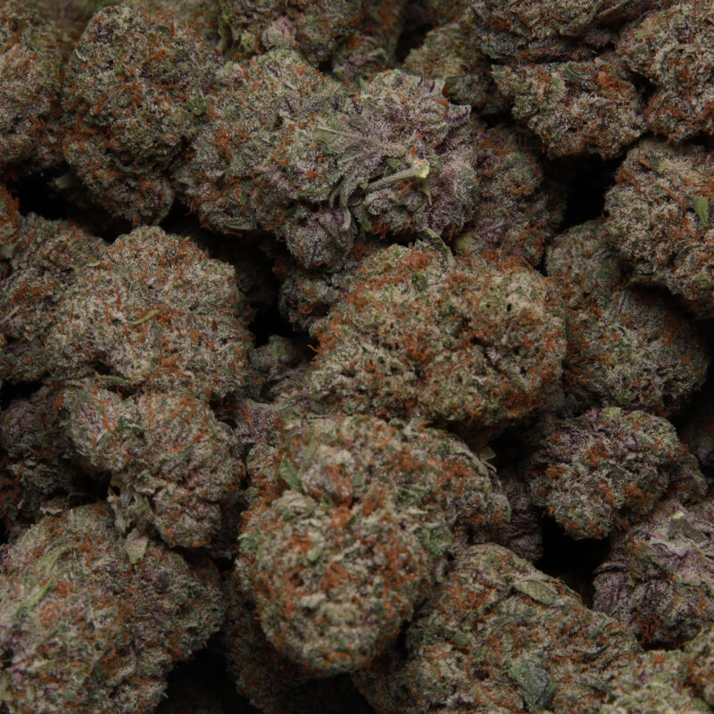 Purple Punch — AAA+ — Indica