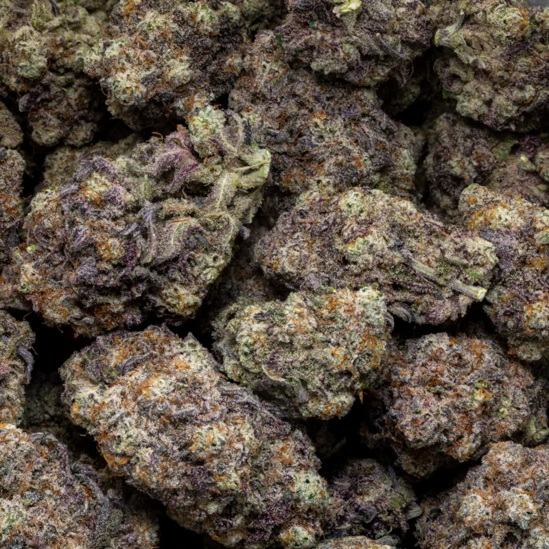 Blackberry Cream — AAA+ — Indica - Image 2