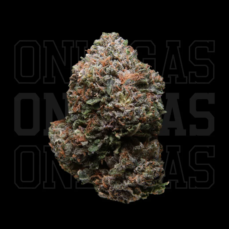 Critical Mass — AAA — Indica