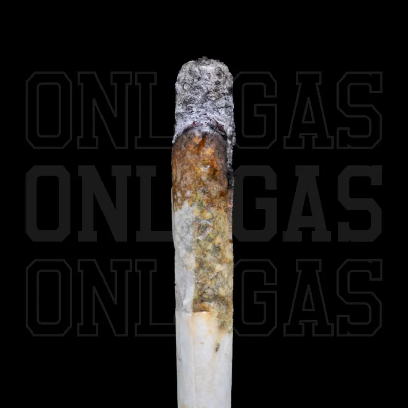 El Chapo — AAA+ — Indica - Image 2