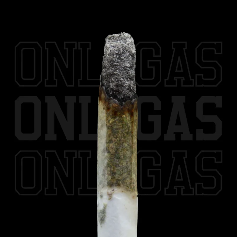 Galactic Gas — AAA+ — Indica - Image 2