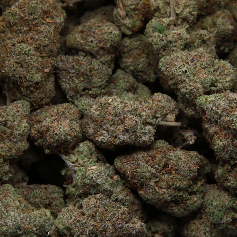 Galactic Gas — AAA+ — Indica - Image 3