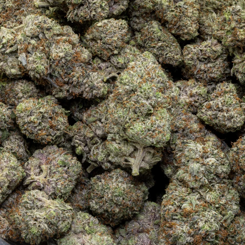 Gas Face — AAA — Indica - Image 3