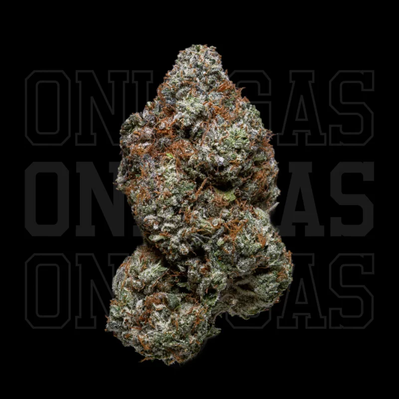Gas Face — AAA — Indica