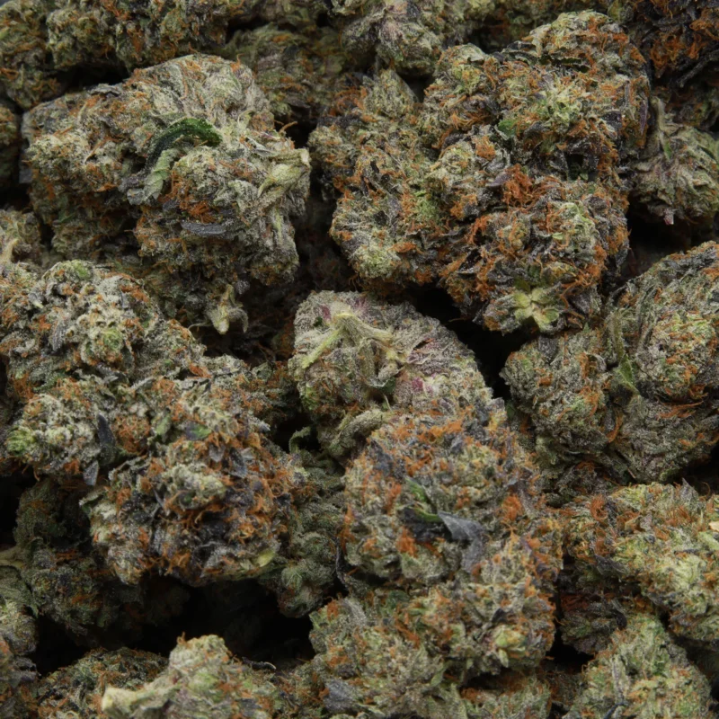 Gas Truffle — AAAA — Indica