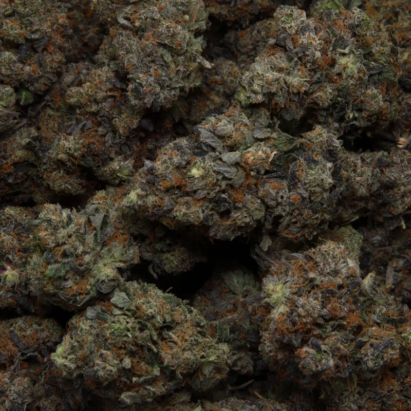 Gucci Pink — AAA+ — Indica - Image 2