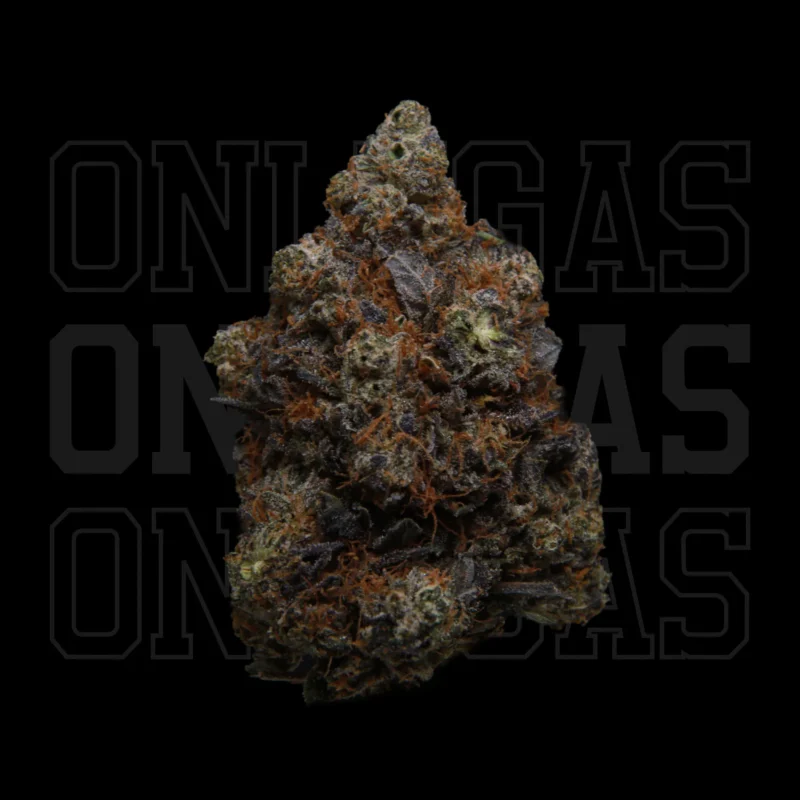 Gucci Pink — AAA+ — Indica