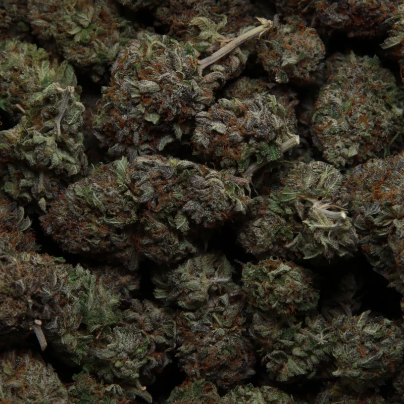 Island Bubba Kush — AAA — Indica - Image 3