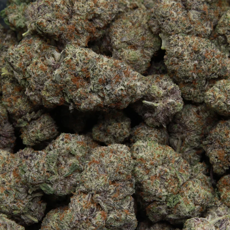 Jet Fuel Gelato — AAA+ — Indica
