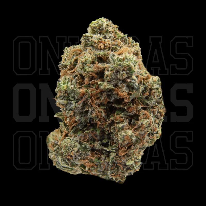 Bluefin Tuna — AAA— Indica