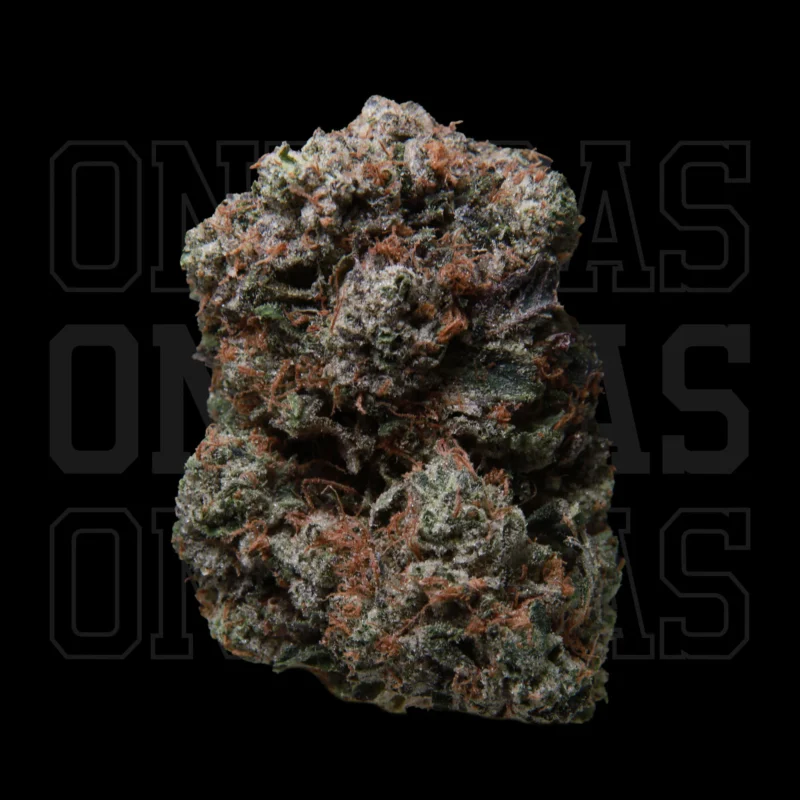 MKU — AAA — Indica