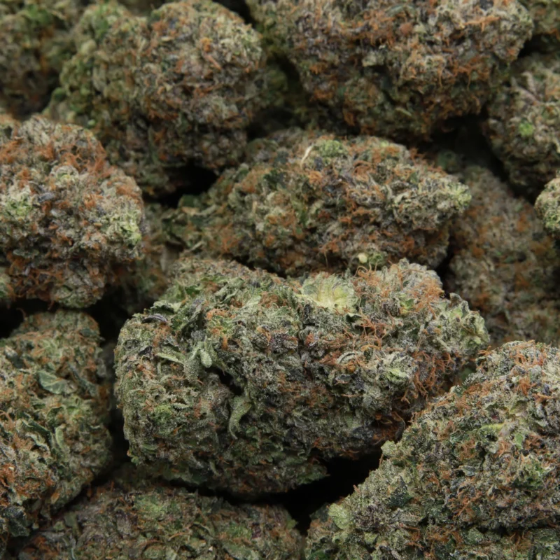 Master Kush — AAA+ — Indica