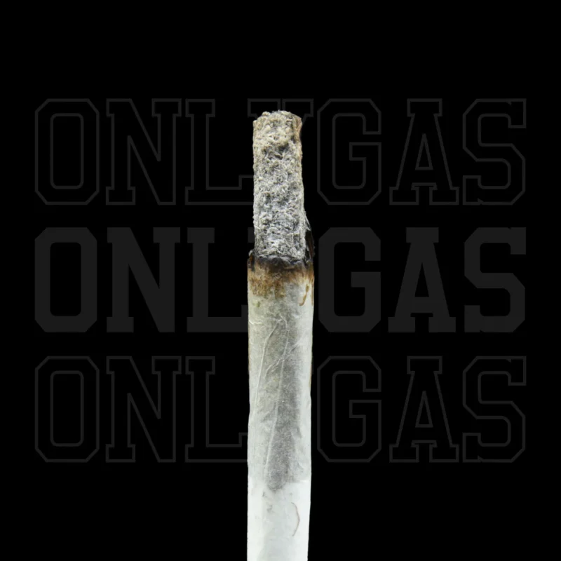 Mimosa Punch — AAAA- — Indica - Image 2