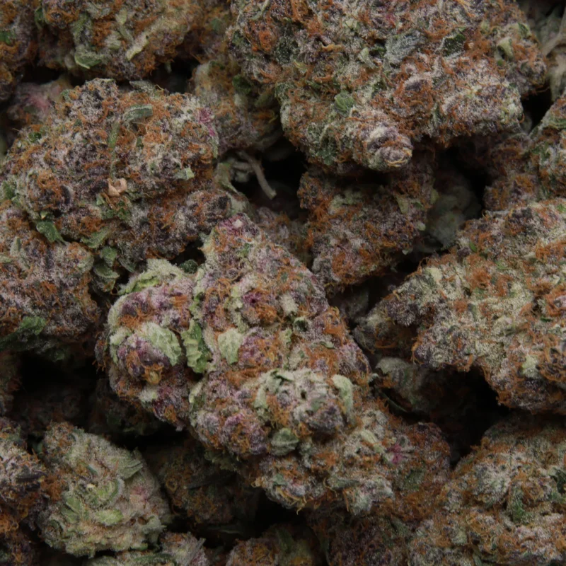 Mimosa Punch — AAAA- — Indica - Image 3