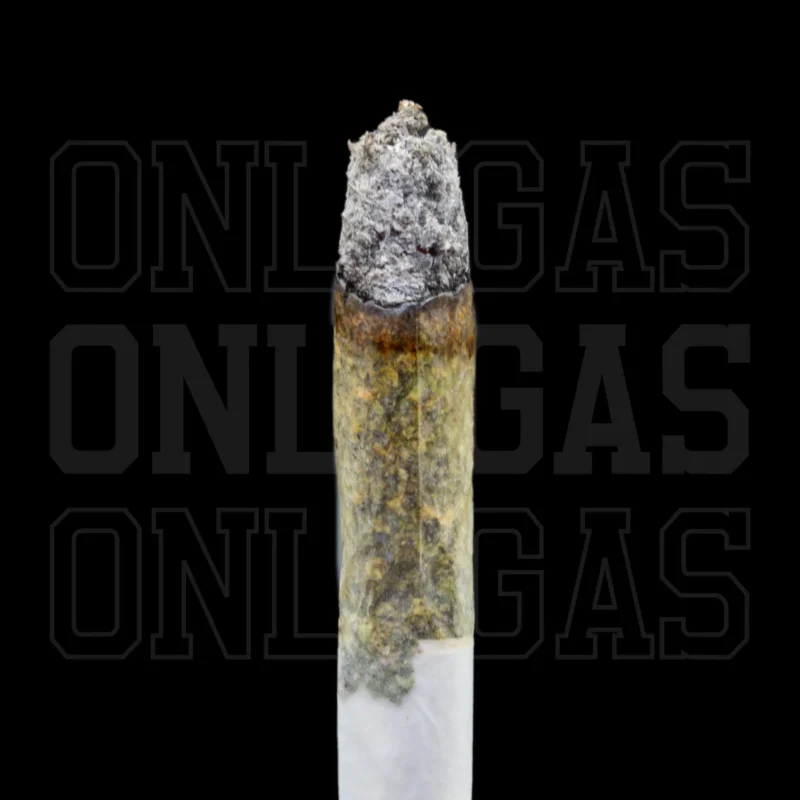 Mochi Gelato — AAA+ — Indica - Image 2