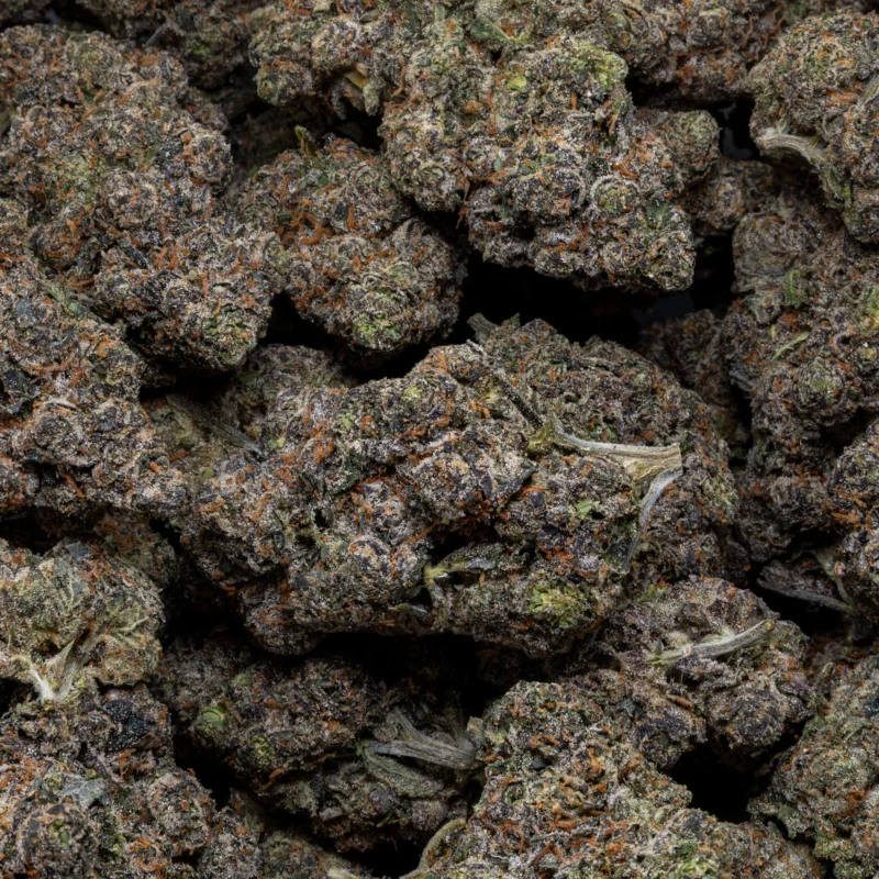Mochi Gelato — AAA+ — Indica - Image 3