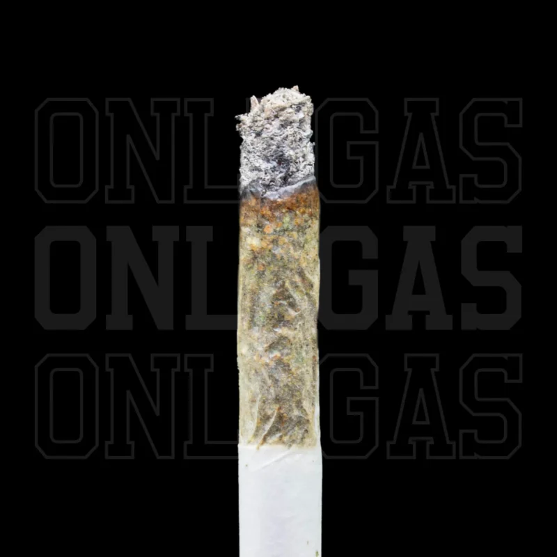 Pink Death Star — AAAA- — Indica - Image 2