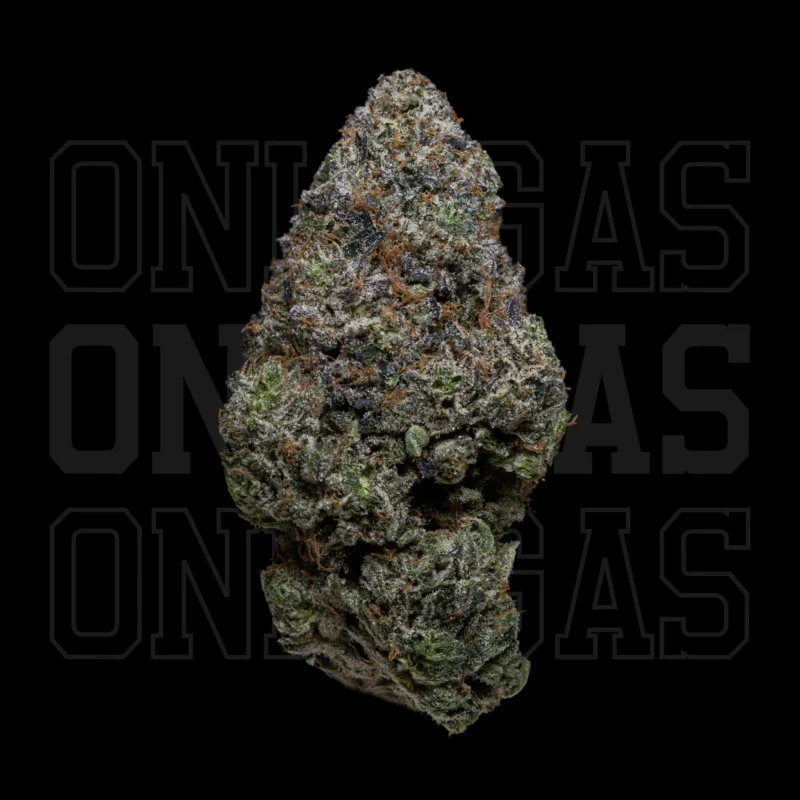 Pink Death Star — AAAA- — Indica