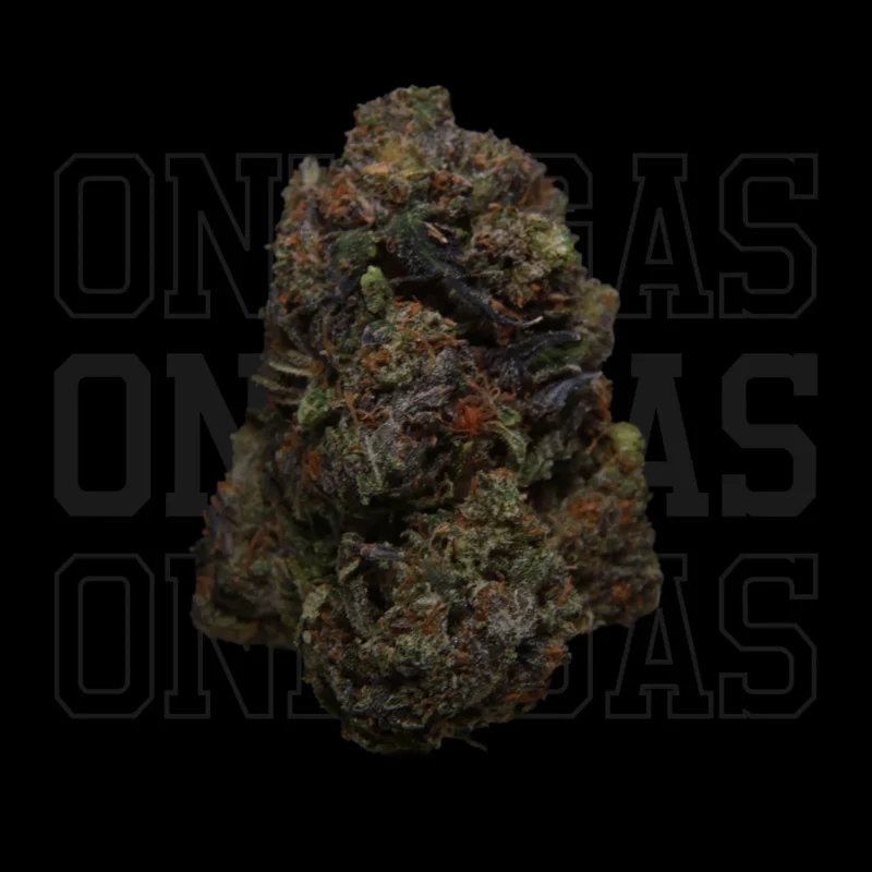 Pink Gorilla — AAA+ — Indica