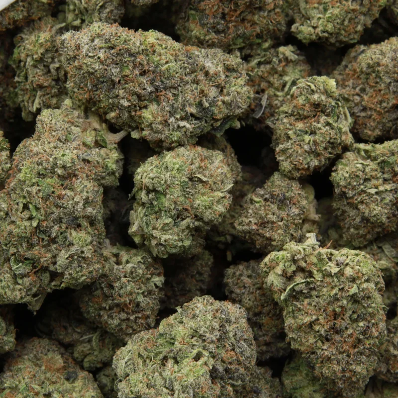 Pink Hellfire — AAA+ — Indica - Image 2