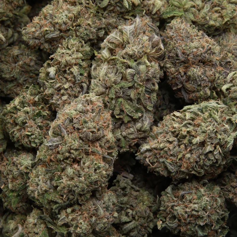 Pre-98 Bubba — AAA— Indica - Image 2
