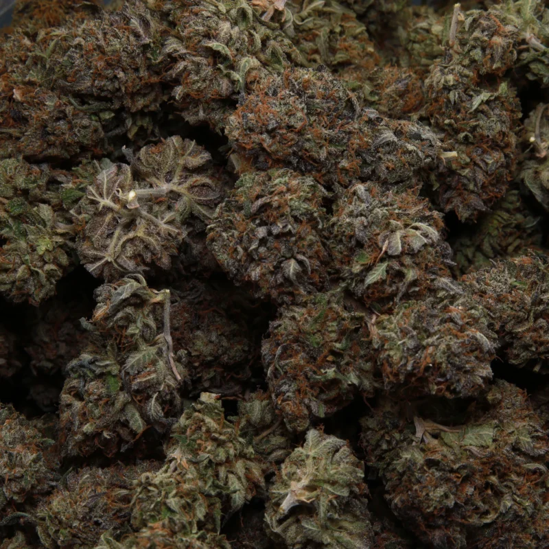 Ripped Bubba — AAA — Indica