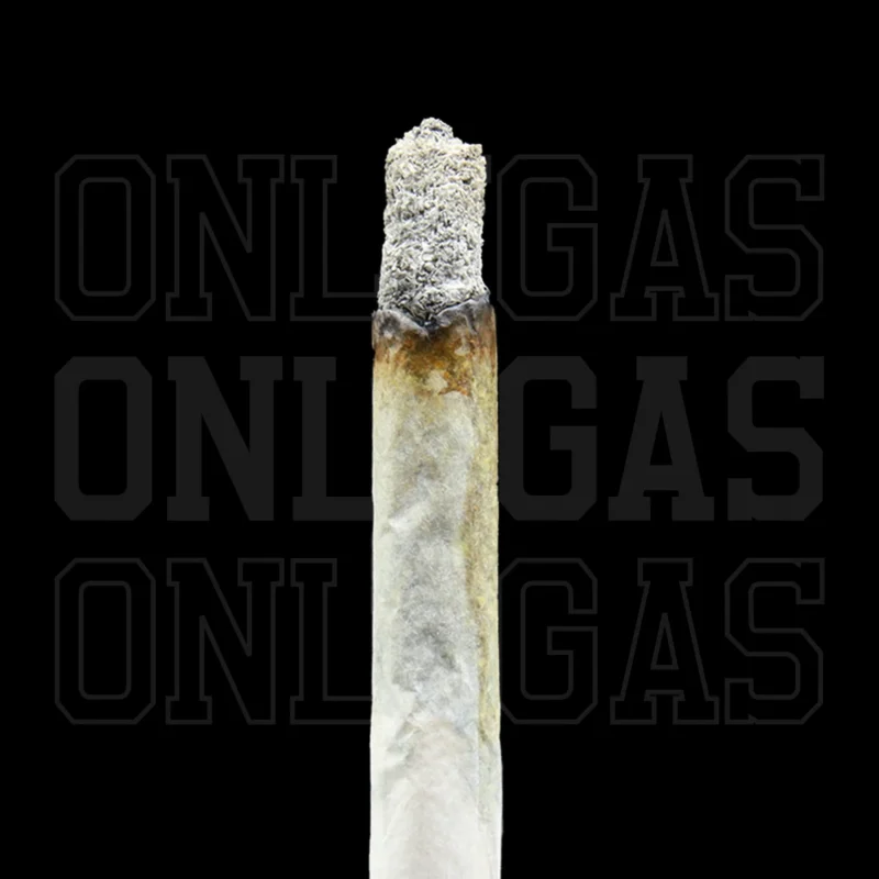 Velvet Cream — AAA+ — Hybrid - Image 2