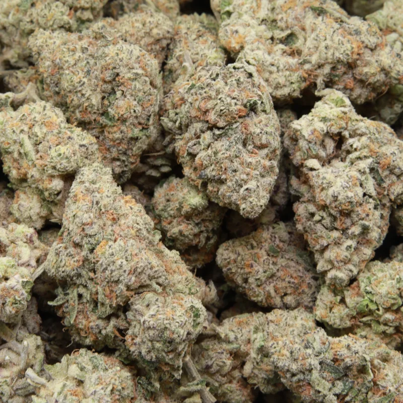 Velvet Cream — AAA+ — Hybrid