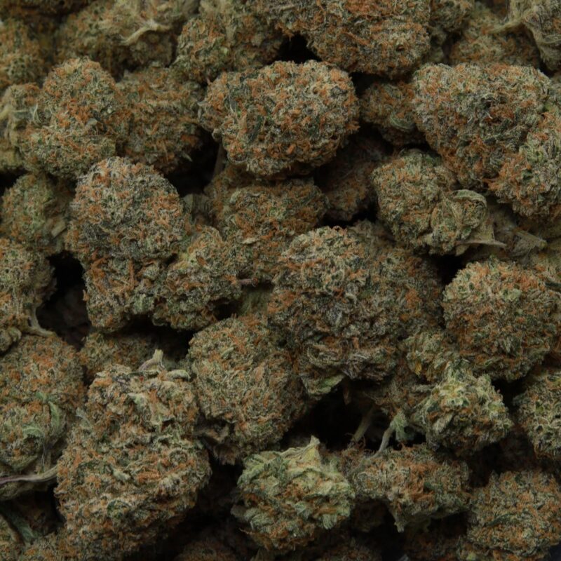 Platinum Blackberry — AAA— Indica